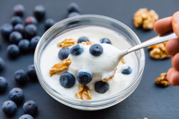 greek yogurt recipes
